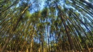 dampak perubahan iklim