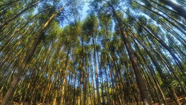 dampak perubahan iklim